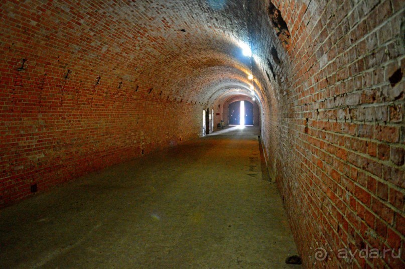 На янтарном побережье