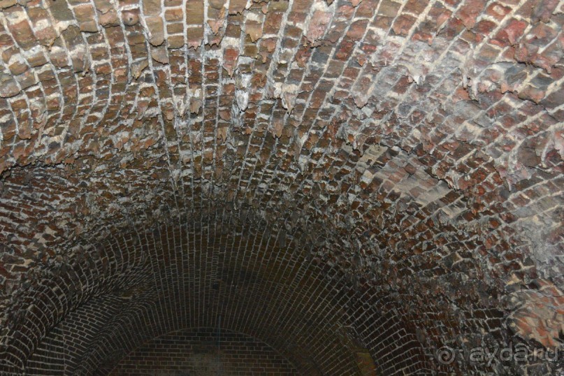 На янтарном побережье