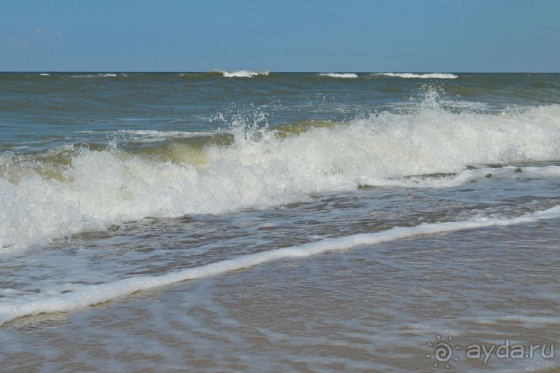 На янтарном побережье