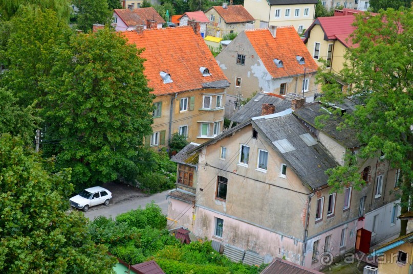 На янтарном побережье
