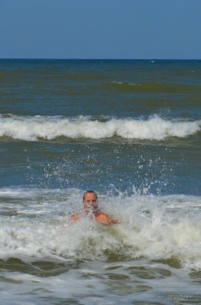 На янтарном побережье