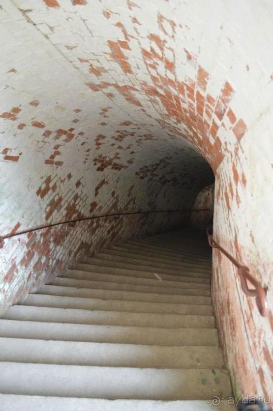 На янтарном побережье