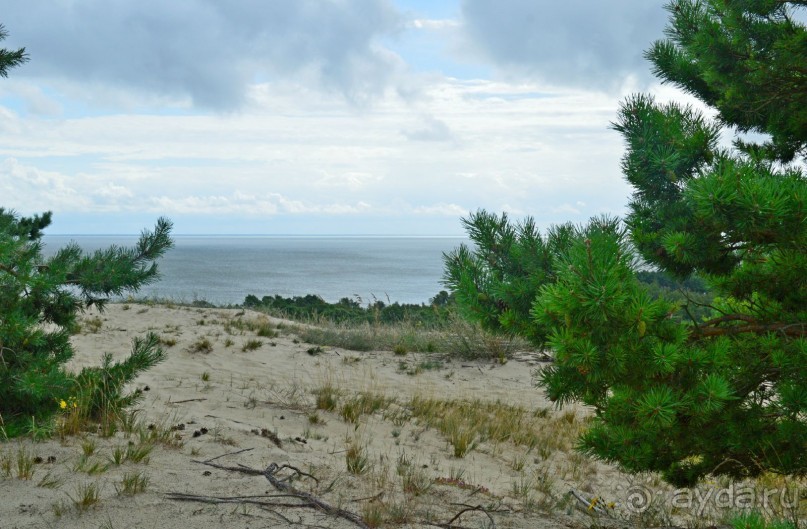 На янтарном побережье