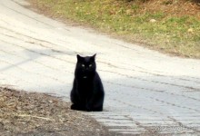 Пражская весна и немного Вены