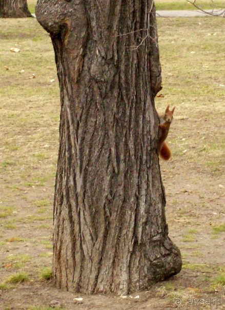 Пражская весна и немного Вены