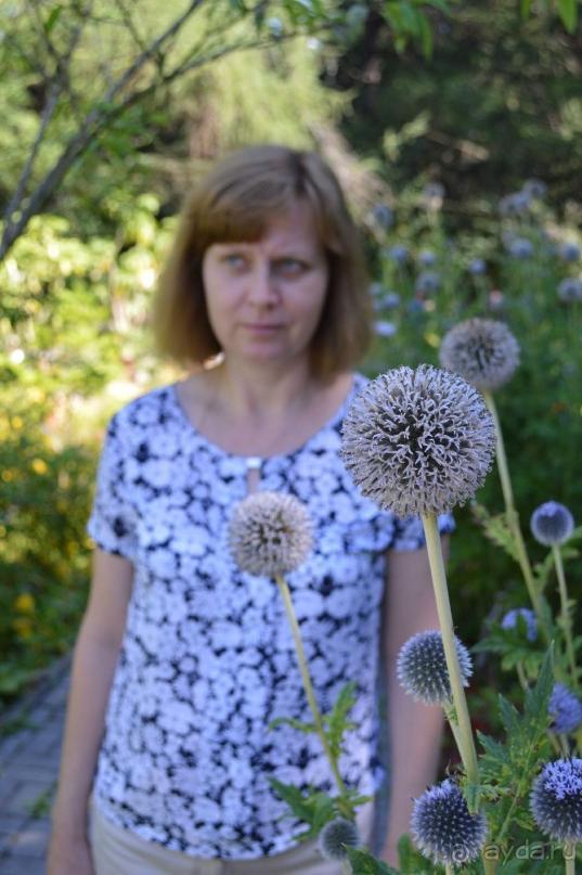 Альбом отзыва "По следам Кенигсберга (Калининград, лето 2015)"