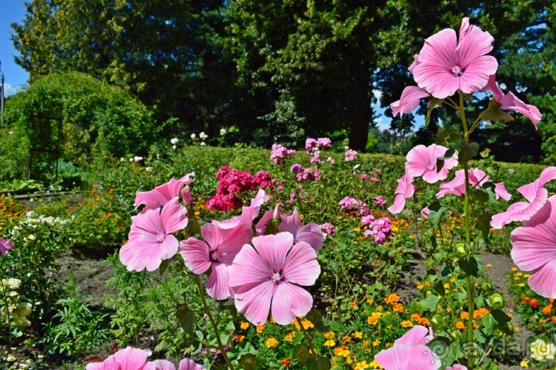 По следам Кенигсберга (Калининград, лето 2015)