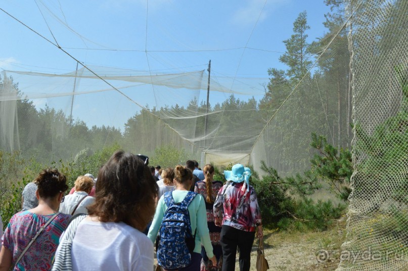 По следам Кенигсберга (Калининград, лето 2015)