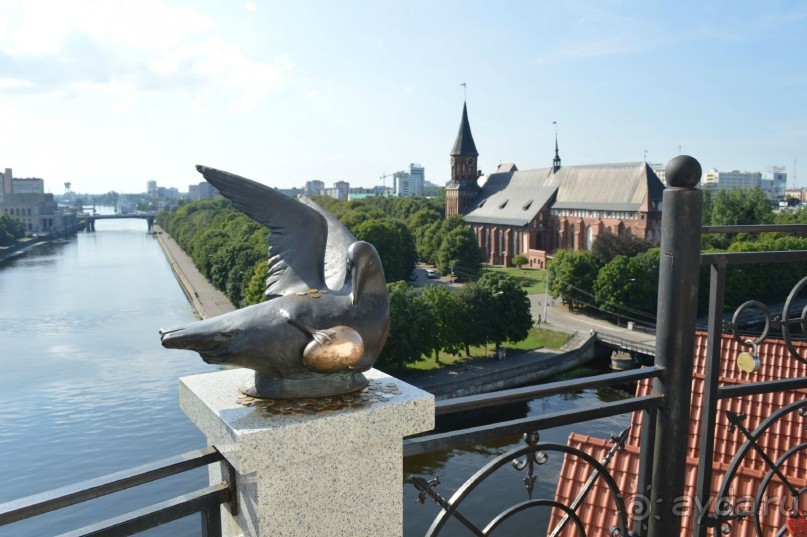 По следам Кенигсберга (Калининград, лето 2015)