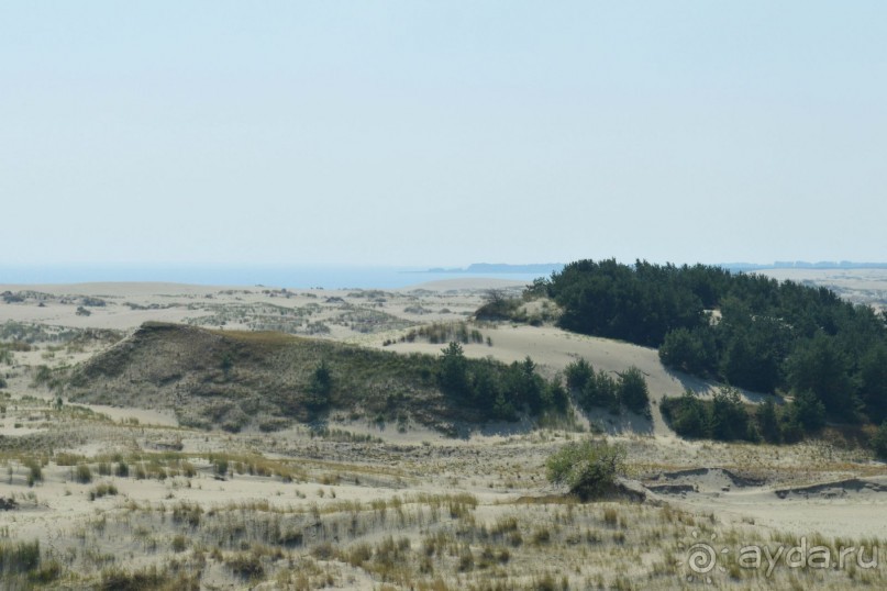 По следам Кенигсберга (Калининград, лето 2015)