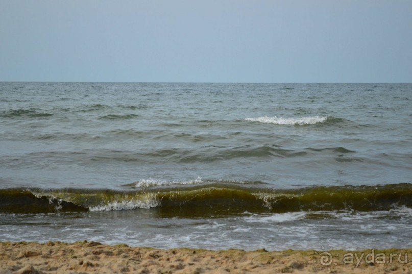 По следам Кенигсберга (Калининград, лето 2015)