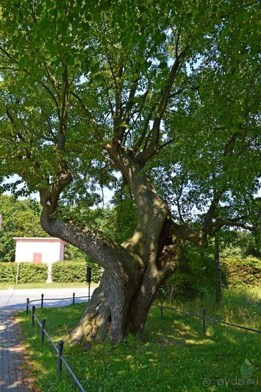 По следам Кенигсберга (Калининград, лето 2015)