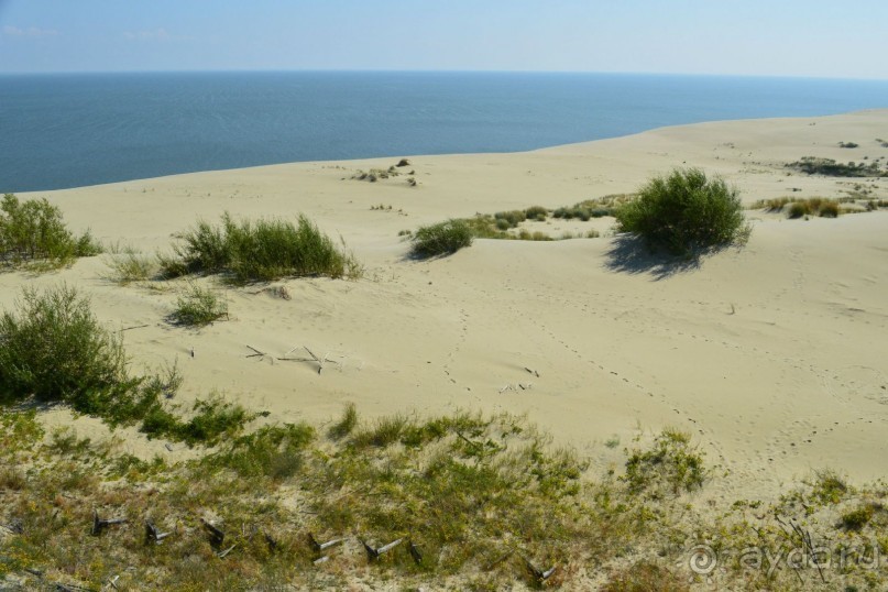 По следам Кенигсберга (Калининград, лето 2015)