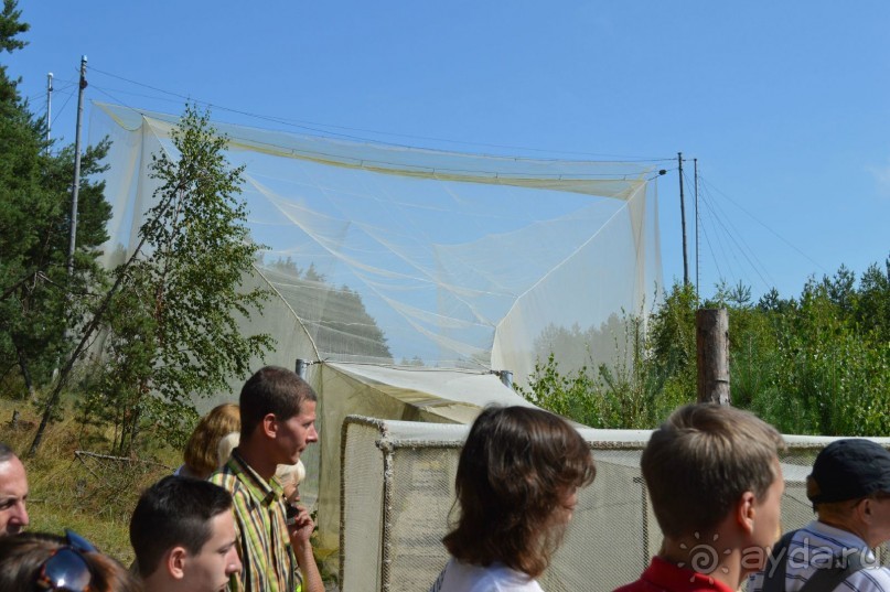 По следам Кенигсберга (Калининград, лето 2015)