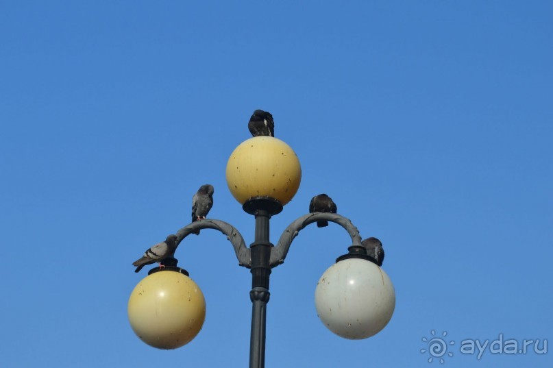 По следам Кенигсберга (Калининград, лето 2015)