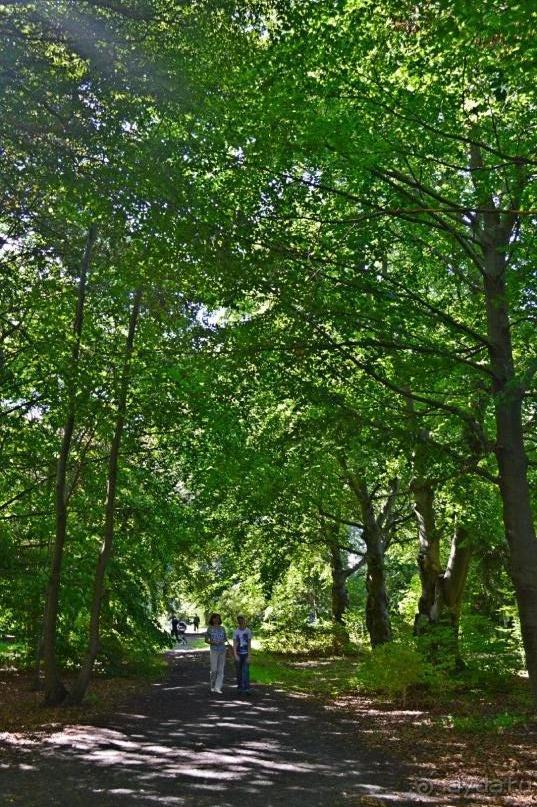 По следам Кенигсберга (Калининград, лето 2015)