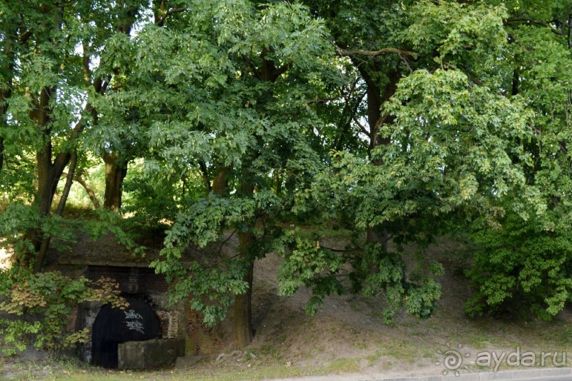 По следам Кенигсберга (Калининград, лето 2015)