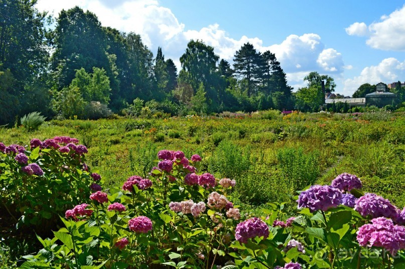 По следам Кенигсберга (Калининград, лето 2015)