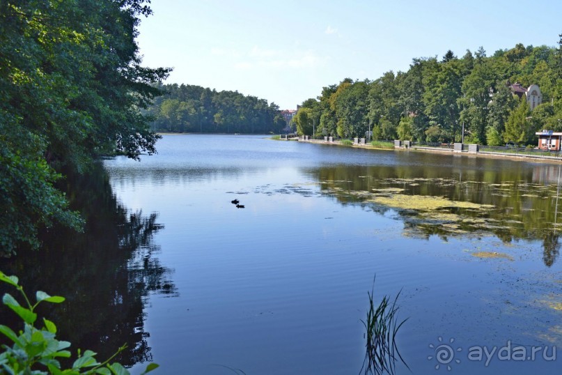 По следам Кенигсберга (Калининград, лето 2015)