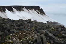 Полярный меридиан: путешествие по Шпицбергену