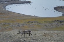 Полярный меридиан: путешествие по Шпицбергену
