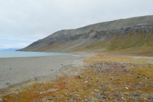 Полярный меридиан: путешествие по Шпицбергену