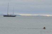 Полярный меридиан: путешествие по Шпицбергену