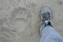 Полярный меридиан: путешествие по Шпицбергену