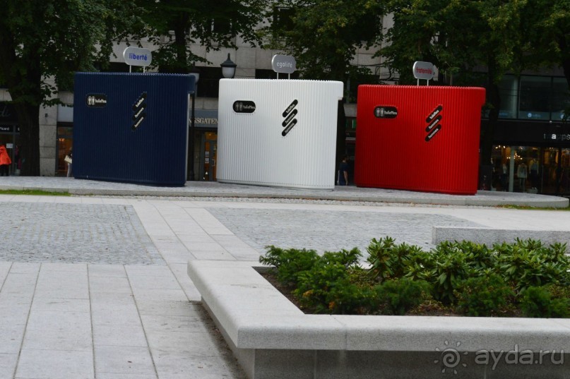 Полярный меридиан: путешествие по Шпицбергену