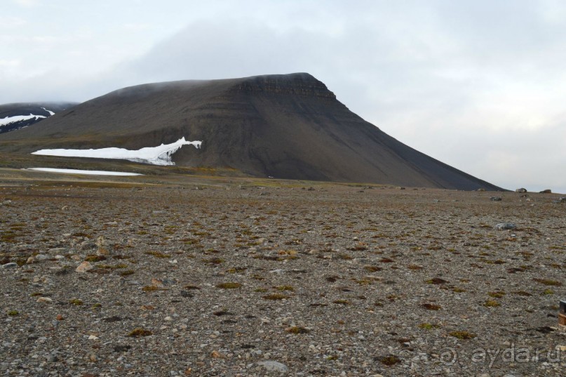 Полярный меридиан: путешествие по Шпицбергену