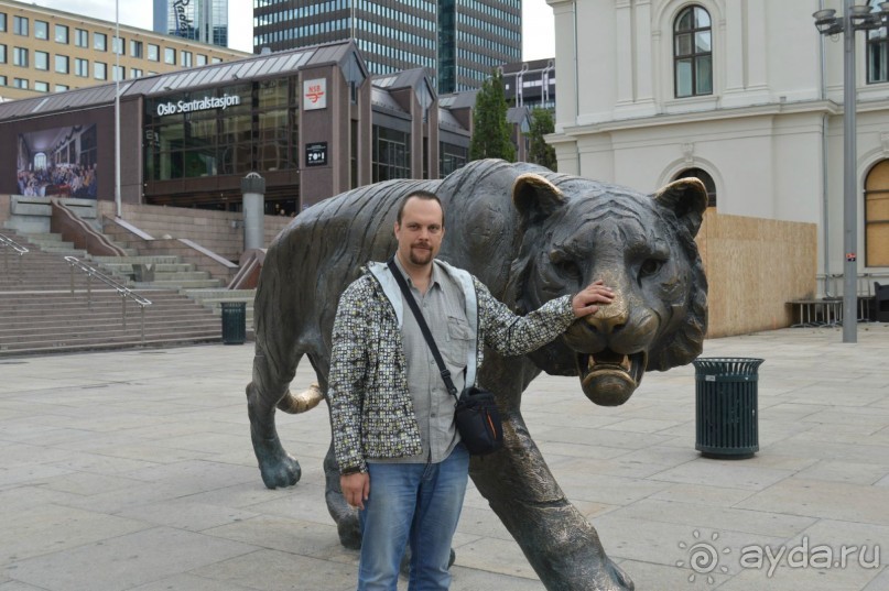 Полярный меридиан: путешествие по Шпицбергену