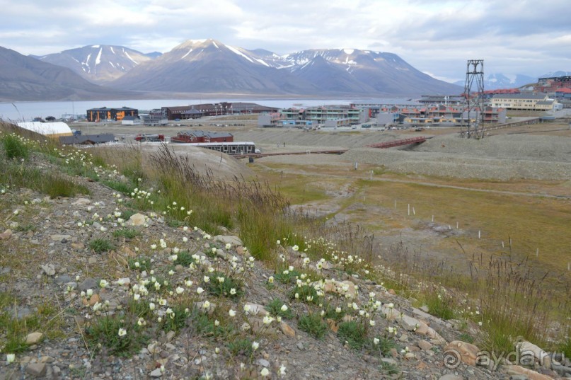 Полярный меридиан: путешествие по Шпицбергену