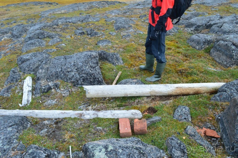 Полярный меридиан: путешествие по Шпицбергену