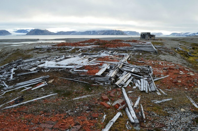 Полярный меридиан: путешествие по Шпицбергену