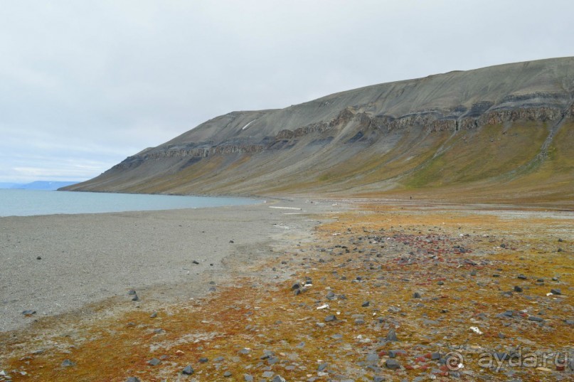 Полярный меридиан: путешествие по Шпицбергену