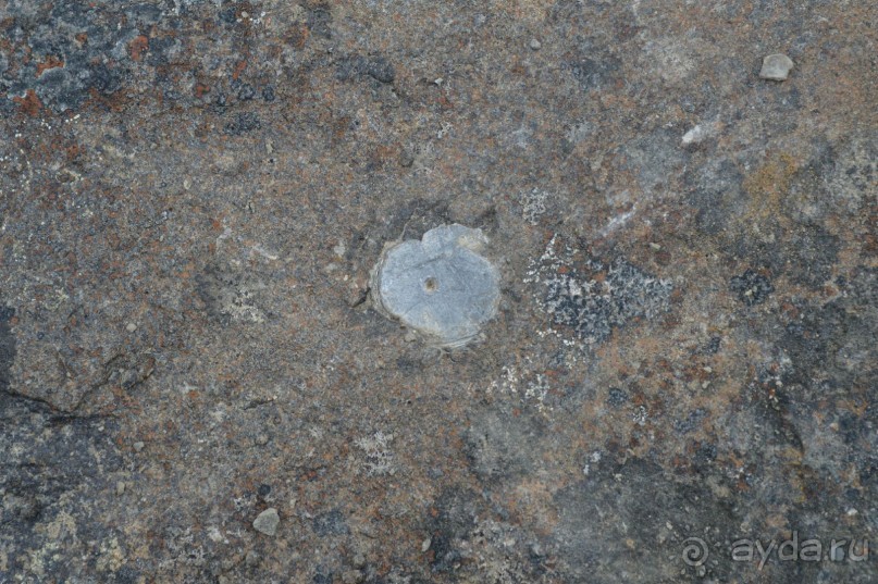 Полярный меридиан: путешествие по Шпицбергену