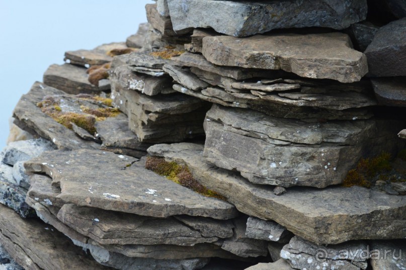 Полярный меридиан: путешествие по Шпицбергену