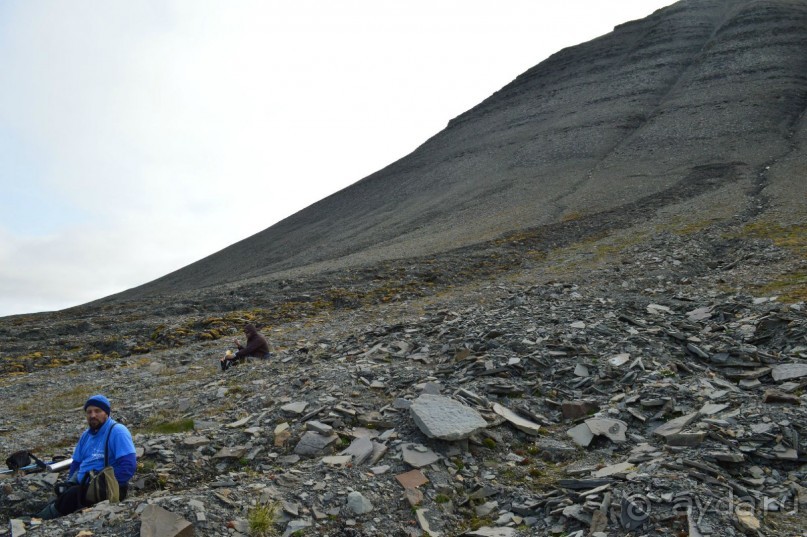 Полярный меридиан: путешествие по Шпицбергену