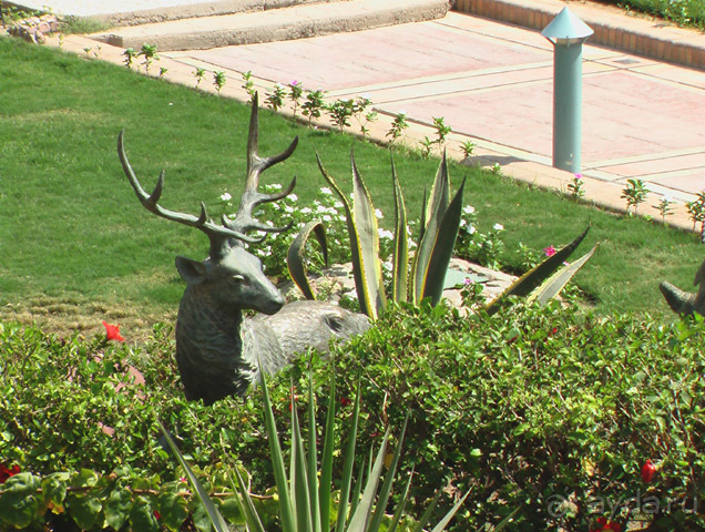 фото Hotelux Marina Beach Resort