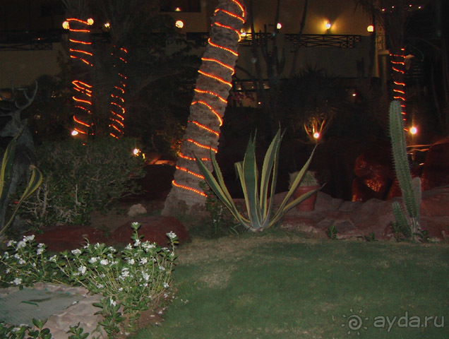 фото Hotelux Marina Beach Resort