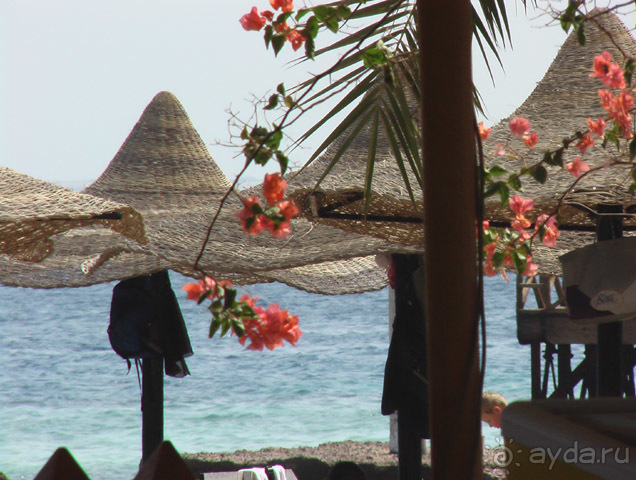 фото Hotelux Marina Beach Resort