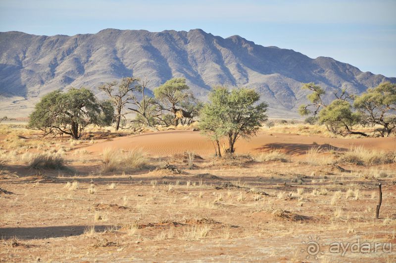 Великолепная Намибия.!