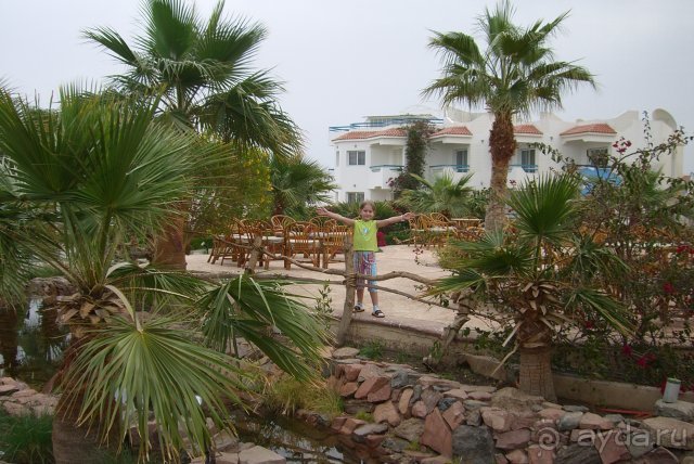 фото Dreams Beach Resort