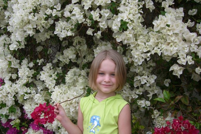 фото Dreams Beach Resort