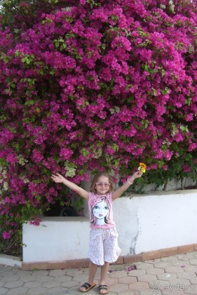 фото Dreams Beach Resort