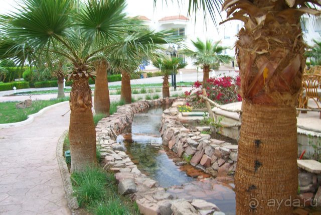 фото Dreams Beach Resort