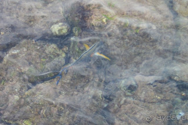 фото Dreams Beach Resort