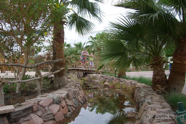 фото Dreams Beach Resort