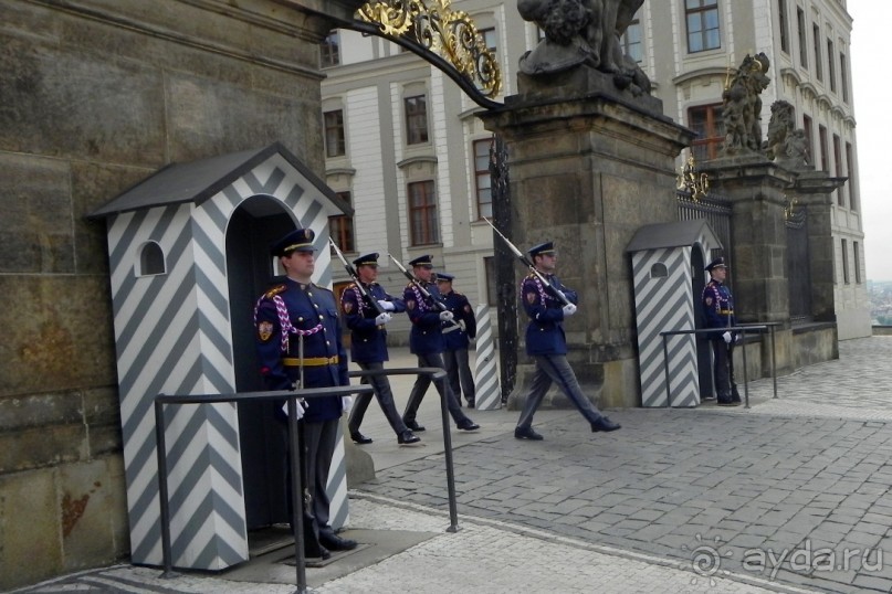 Двенадцать маленьких штрихов к портрету Праги.