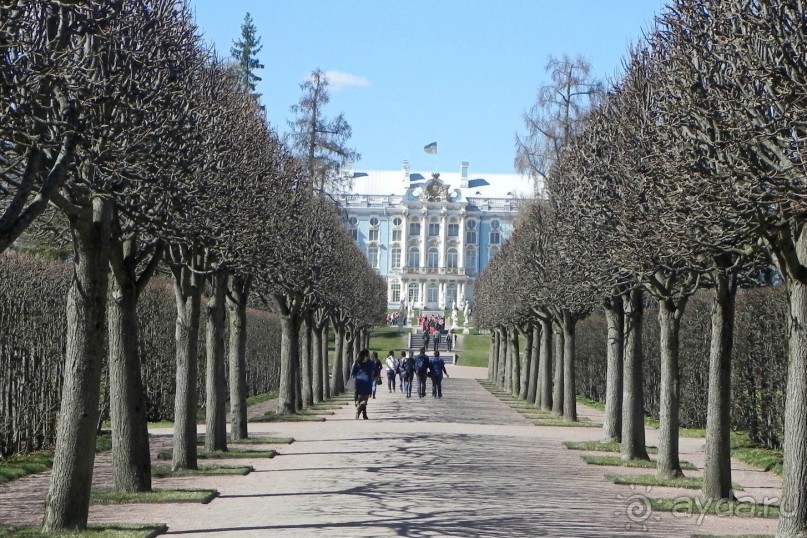 Петербург и Питер. Царскосельский поход.(Ч.3)